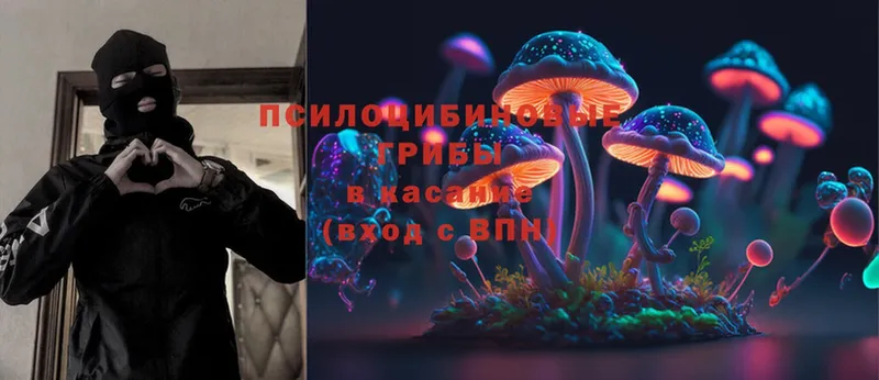 Псилоцибиновые грибы Magic Shrooms  blacksprut ссылка  Полярные Зори 